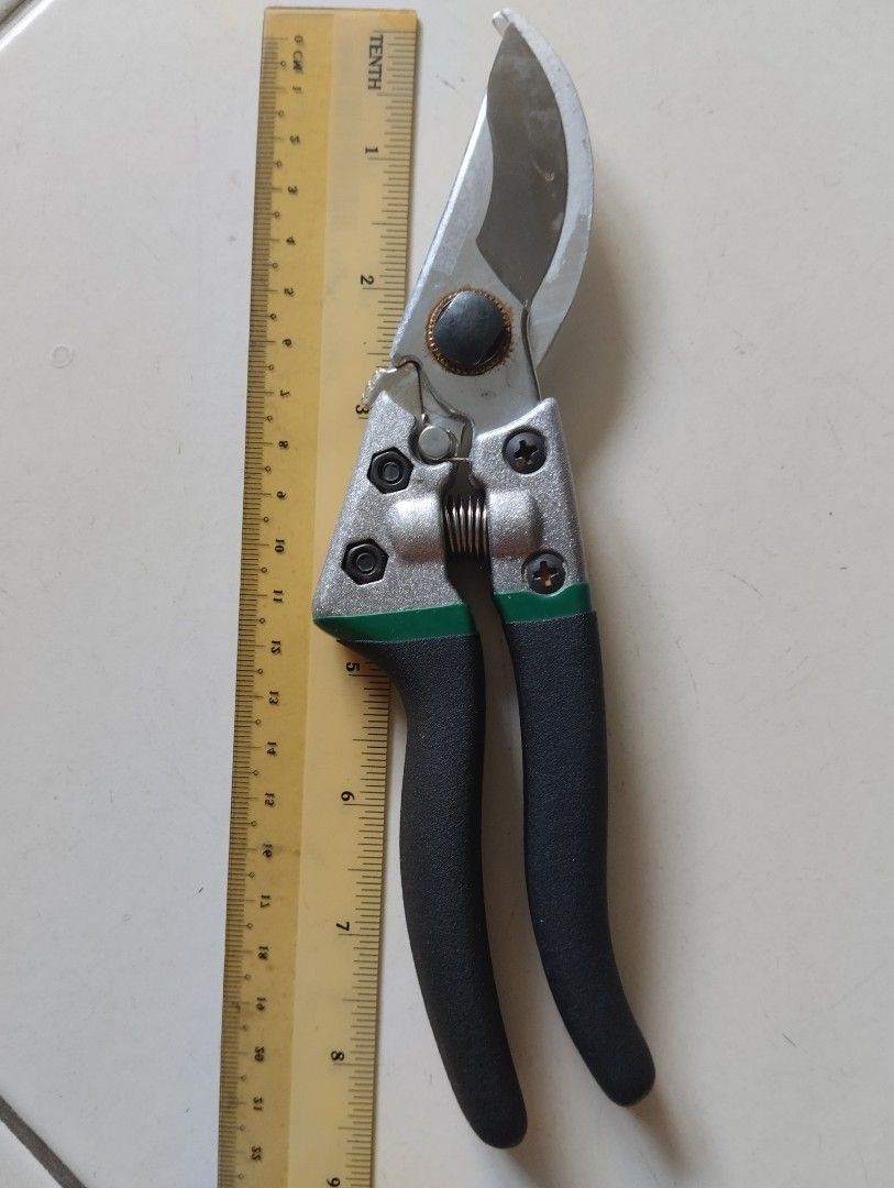 garden scissors pruning shear