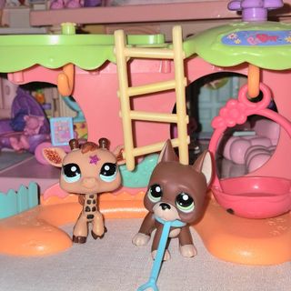 (Category: ) located in . Submitted by ssaeya (Listing ID 1448228209, Image 1). Description: .