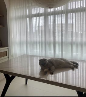 (Category: ) located in . Submitted by sn0wowl (Listing ID 1442963598, Image 1). Description: .
