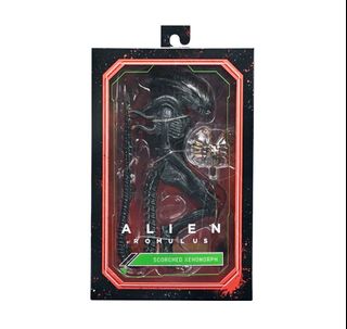 (Category: ) located in . Submitted by shopping_player (Listing ID 1448273015, Image 1). Description: .