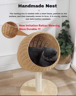(Category: ) located in . Submitted by cocoliving (Listing ID 1448137073, Image 1). Description: .