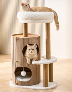 (Category: ) located in . Submitted by cocoliving (Listing ID 1448134327, Image 1). Description: .