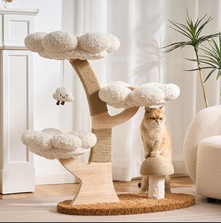 (Category: ) located in . Submitted by cocoliving (Listing ID 1448130193, Image 1). Description: .