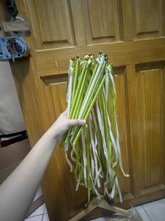 (Category: ) located in . Submitted by chensellsph (Listing ID 1448143827, Image 1). Description: .