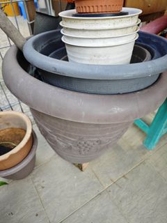 (Category: ) located in . Submitted by pwt123 (Listing ID 1448360543, Image 1). Description: .
