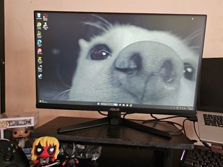 (Category: ) located in . Submitted by soraaa17 (Listing ID 1448316103, Image 1). Description: .