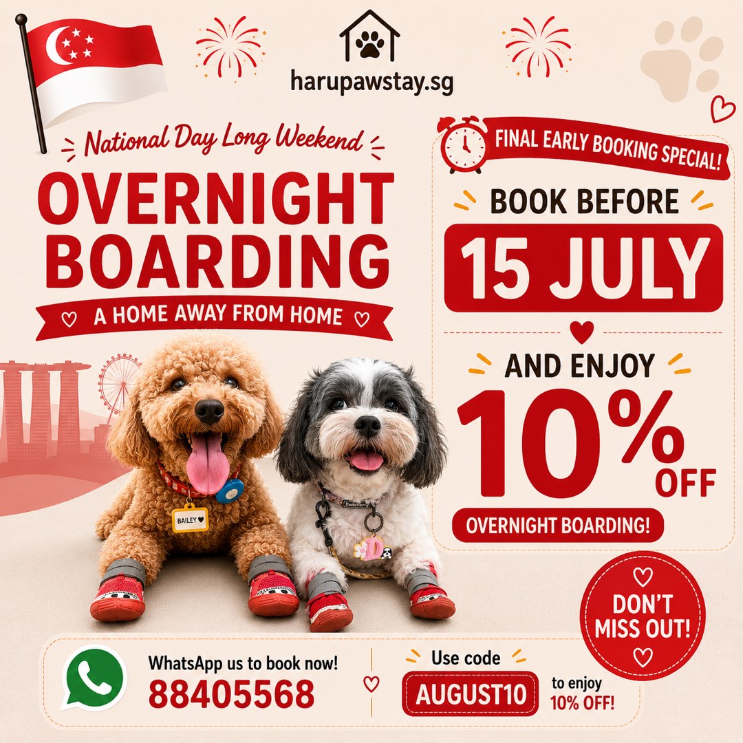 (Category: ) located in . Submitted by harupawstay.sg (Listing ID 1433042674, Image 1). Description: .