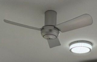 (Category: ) located in . Submitted by pizzaqueen (Listing ID 1448399738, Image 1). Description: .