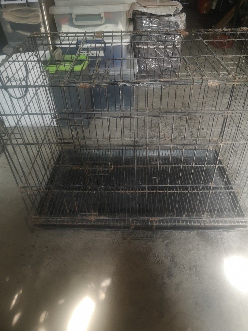 Large Metal Dog Cage with Tray (Category: Homes & Other Pet Accessories) located in Muntinlupa City. Submitted by strlltsantos (Listing ID 1448297366, Image 2). Description: - Large metal dog cage, ideal for medium to large breeds. - Features a removable plastic tray for easy cleaning. - Foldable design for convenient storage and transport. - Secure latches ensure your pet's safety. - Shows some signs of wear but is in fully functional condition.