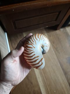 （分類：）位於 。 由 ham12345 提交（商品編號 1448453673，圖片 1）。簡介： 。