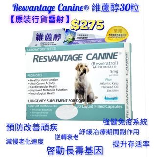 （分類：）位於 。 由 petpetsai 提交（商品編號 1412420110，圖片 1）。簡介： 。