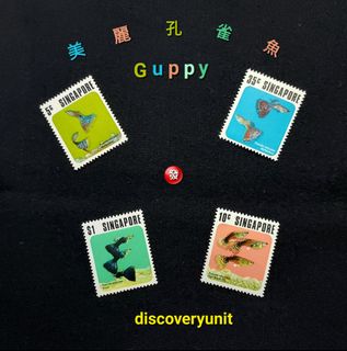 （分類：）位於 。 由 discoveryunit 提交（商品編號 1448595387，圖片 1）。簡介： 。