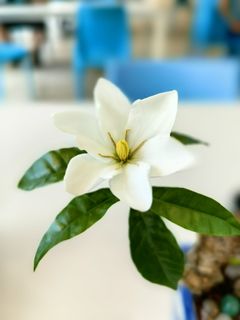 （分類：）位於 。 由 tsecwk 提交（商品編號 1446919899，圖片 1）。簡介： 。