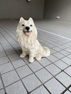 （分類：）位於 。 由 bw1001 提交（商品編號 1448545721，圖片 1）。簡介： 。
