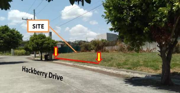 (Category: ) located in . Submitted by aby.tan (Listing ID 1448528549, Image 1). Description: .