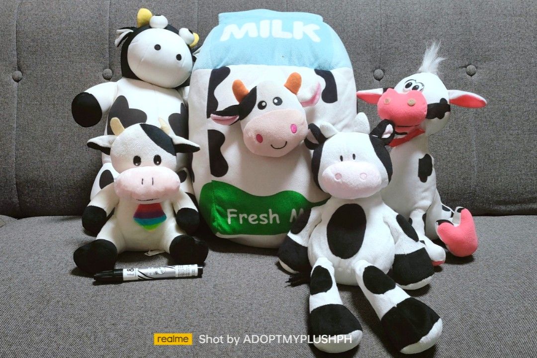 [5] Bundle Cow Milk Plush Toys (Category: Plushies & Soft Toys) located in Taguig. Submitted by adopt.my.plush.ph (Listing ID 1452940036, Image 3). Description: .