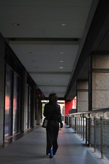 由 checkouts (刊登 ID 1453181549，圖片 1) 提交，位於 的 (類別：)，說明：。
