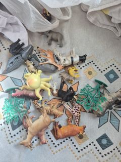 (Category: ) located in . Submitted by sonvir (Listing ID 1453061227, Image 1). Description: .