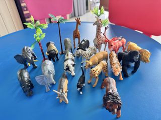 (Category: ) located in . Submitted by kiddosmum (Listing ID 1453066027, Image 1). Description: .