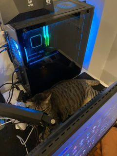 (Category: ) located in . Submitted by nuranisss (Listing ID 1453094516, Image 1). Description: .