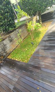 (Category: ) located in . Submitted by karups7 (Listing ID 1453088467, Image 1). Description: .