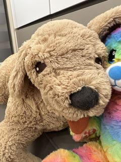 （分類：）位於 。 由 bestsellerman 提交（商品編號 1453126381，圖片 1）。簡介： 。
