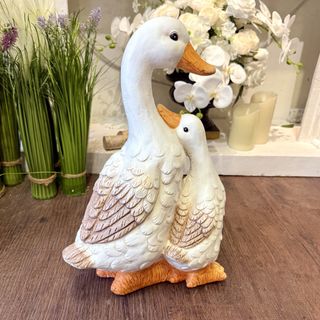 (Category: ) located in . Submitted by cluckcluckcountry (Listing ID 1453127518, Image 1). Description: .