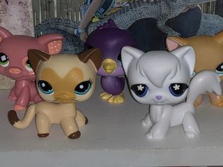 (Category: ) located in . Submitted by behatibaby (Listing ID 1453073240, Image 1). Description: .