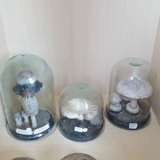 (Category: ) located in . Submitted by cyc.chiang (Listing ID 1453081839, Image 1). Description: .