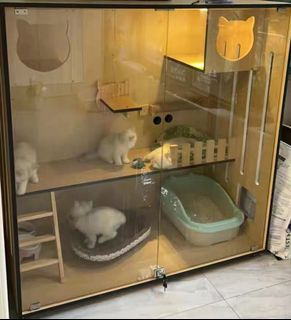 (Category: ) located in . Submitted by furpet (Listing ID 1453101485, Image 1). Description: .
