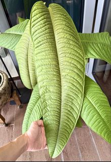 (Category: ) located in . Submitted by greenthoughts (Listing ID 1453084227, Image 1). Description: .