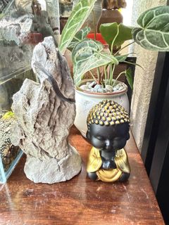 (Category: ) located in . Submitted by cocodama (Listing ID 1453078643, Image 1). Description: .