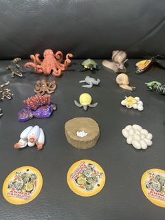 （分類：）位於 。 由 esgyes 提交（商品編號 1453082627，圖片 1）。簡介： 。