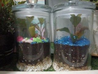 (Category: ) located in . Submitted by aristylesyou (Listing ID 1453169793, Image 1). Description: .