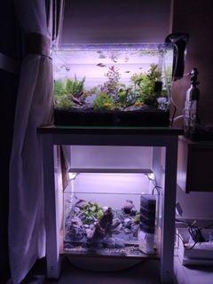 (Category: ) located in . Submitted by returnofmi72927 (Listing ID 1454760834, Image 1). Description: .