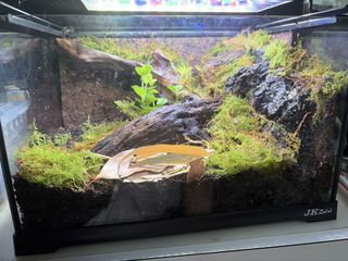 (Category: ) located in . Submitted by supersoil (Listing ID 1454815997, Image 1). Description: .