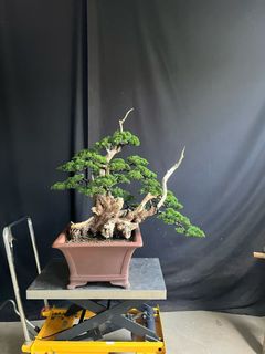 (Category: ) located in . Submitted by grandfox_223587 (Listing ID 1454930106, Image 1). Description: .