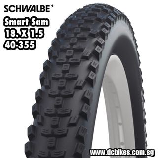 Schwalbe | Maxxis | Continental | Michelin | Vittoria | Kenda | Innova + Other Tyres & Tubes Collection item 1