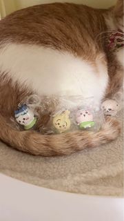 （分類：）位於 。 由 rebe.1 提交（商品編號 1454921443，圖片 1）。簡介： 。