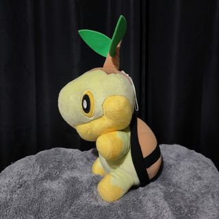 Pokemon Collection item 3