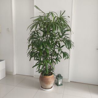 (Category: ) located in . Submitted by steweb (Listing ID 1454811367, Image 1). Description: .