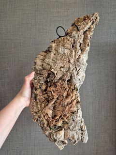 (Category: ) located in . Submitted by chloe_lim86 (Listing ID 1454827598, Image 1). Description: .