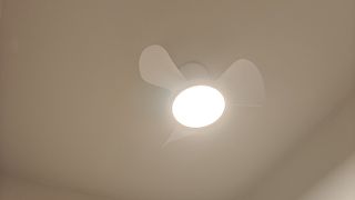 (Category: ) located in . Submitted by uchffufuf (Listing ID 1454791446, Image 1). Description: .