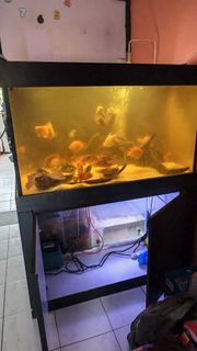 (Category: ) located in . Submitted by yth300220 (Listing ID 1454757433, Image 1). Description: .