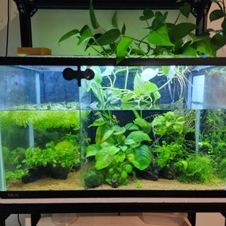(Category: ) located in . Submitted by cz_carousel (Listing ID 1454895284, Image 1). Description: .