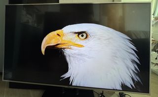 （分類：）位於 。 由 michael_2026 提交（商品編號 1454753796，圖片 1）。簡介： 。