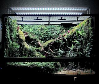 (Category: ) located in . Submitted by nativeforest9 (Listing ID 1454807720, Image 1). Description: .