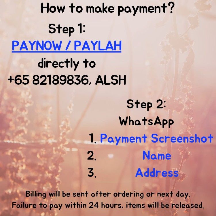Payment Method (Category: Announcements) located in Singapore. Submitted by tsukisuki (Listing ID 1454894906, Image 1). Description: How to Make Payment.