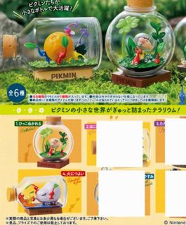 （分類：）位於 。 由 linglam34 提交（商品編號 1448822008，圖片 1）。簡介： 。