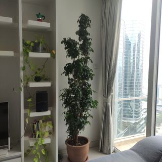 (Category: ) located in . Submitted by steweb (Listing ID 1454812258, Image 1). Description: .